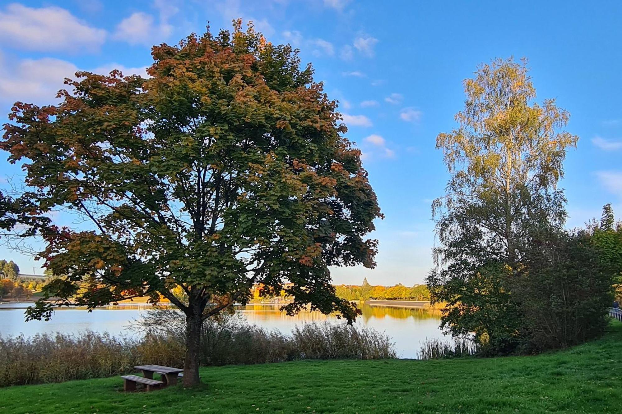 Draussen Am See Лосхайм Екстериор снимка