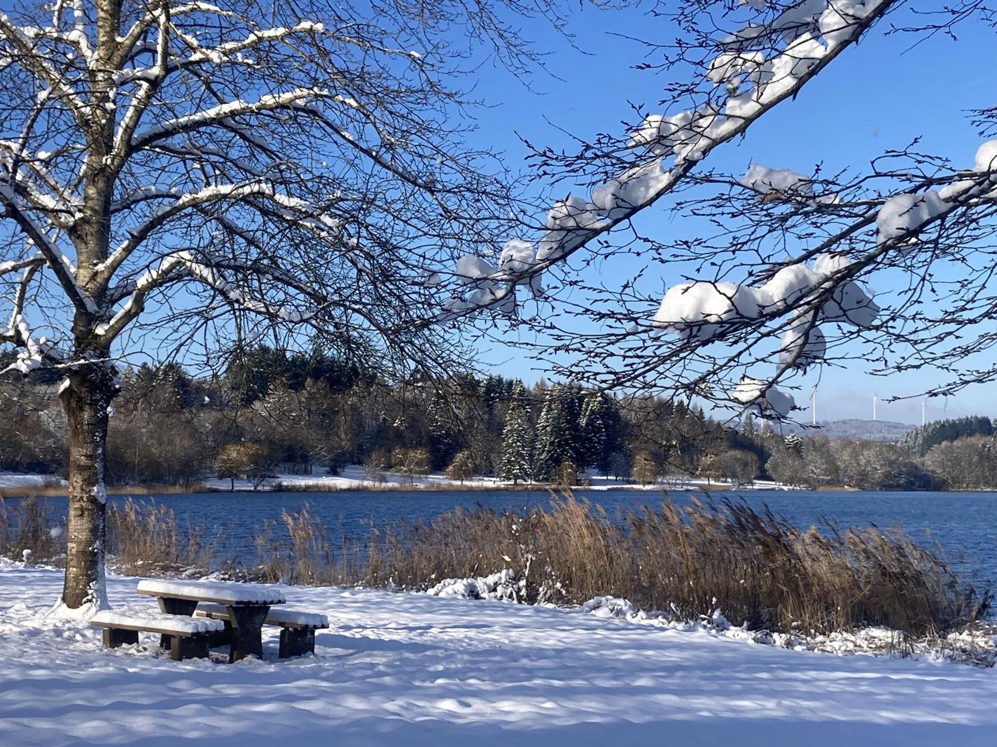 Draussen Am See Лосхайм Екстериор снимка